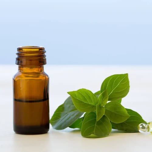 Basil Oil product image