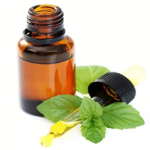 Bergamot Mint Oil product image