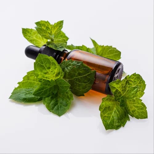 Peppermint Oil product image