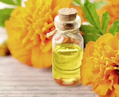 Tagetes Oil product image